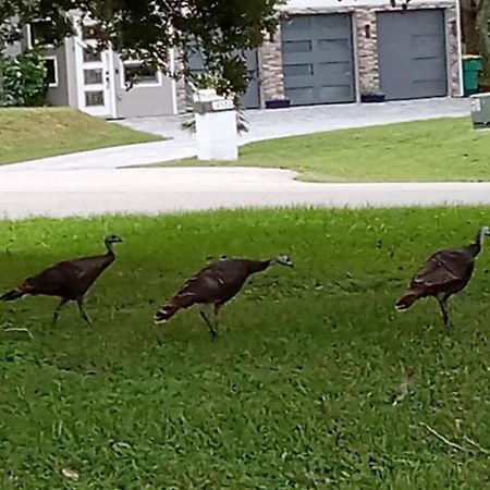 Country Cottage Kissimmee Bagian luar foto
